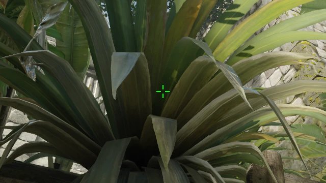 Where to aim before releasing the throw
